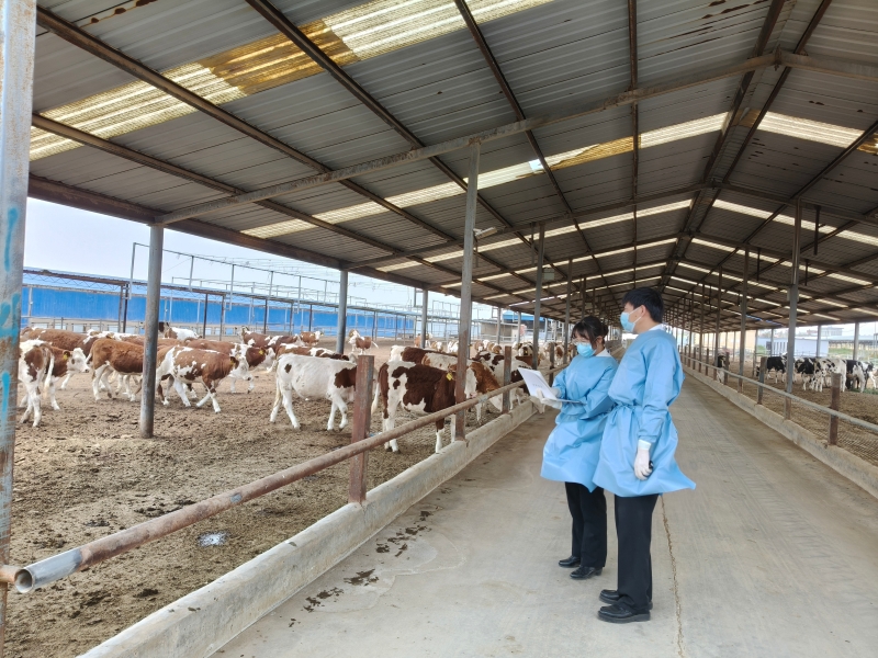 IMG20260603124135